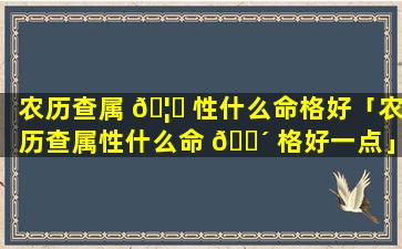 农历查属 🦁 性什么命格好「农历查属性什么命 🐴 格好一点」